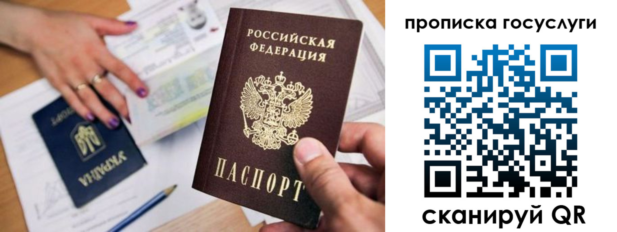 временная прописка в Сертолово